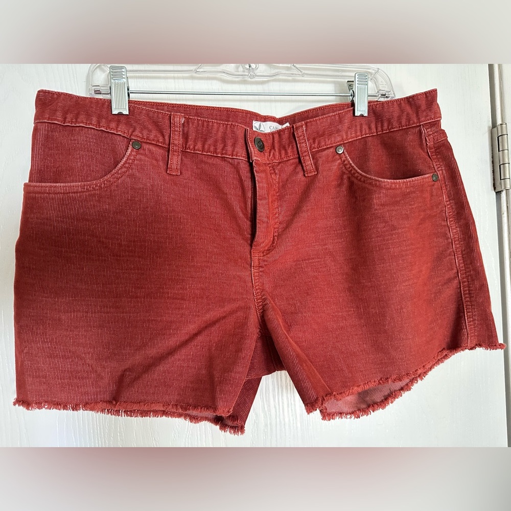 Carve oahu 4” shorts